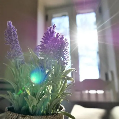 Fox Tale Appartement