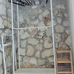 Apartment Fox Tale