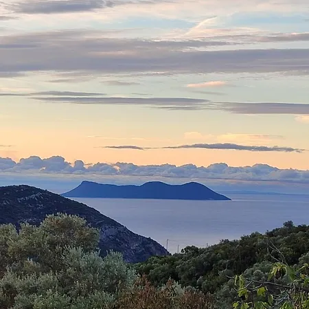 Apartment Fox Tale *