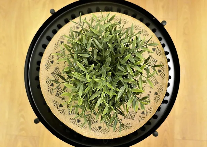 Apartment Fox Tale Fternon