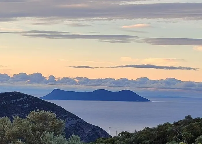 Apartment Fox Tale *